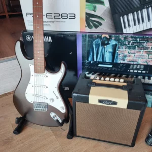 PACK ELECTRIQUE CORT