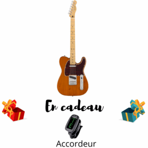 GUITARE ELECTRIQUE FENDER MEXIQUE PLAYER TELECASTER AGED NATURAL