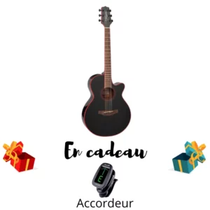 GUITARE ELECTRO FOLK TAKAMINE GF49CE-CB